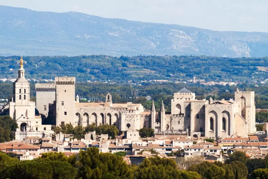 Palais des Papes Ticket in Avignon