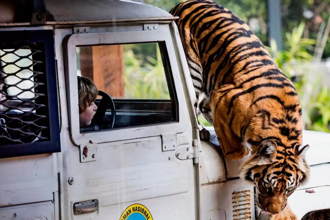 Taronga Zoo and Sydney Harbour Hopper Ticket