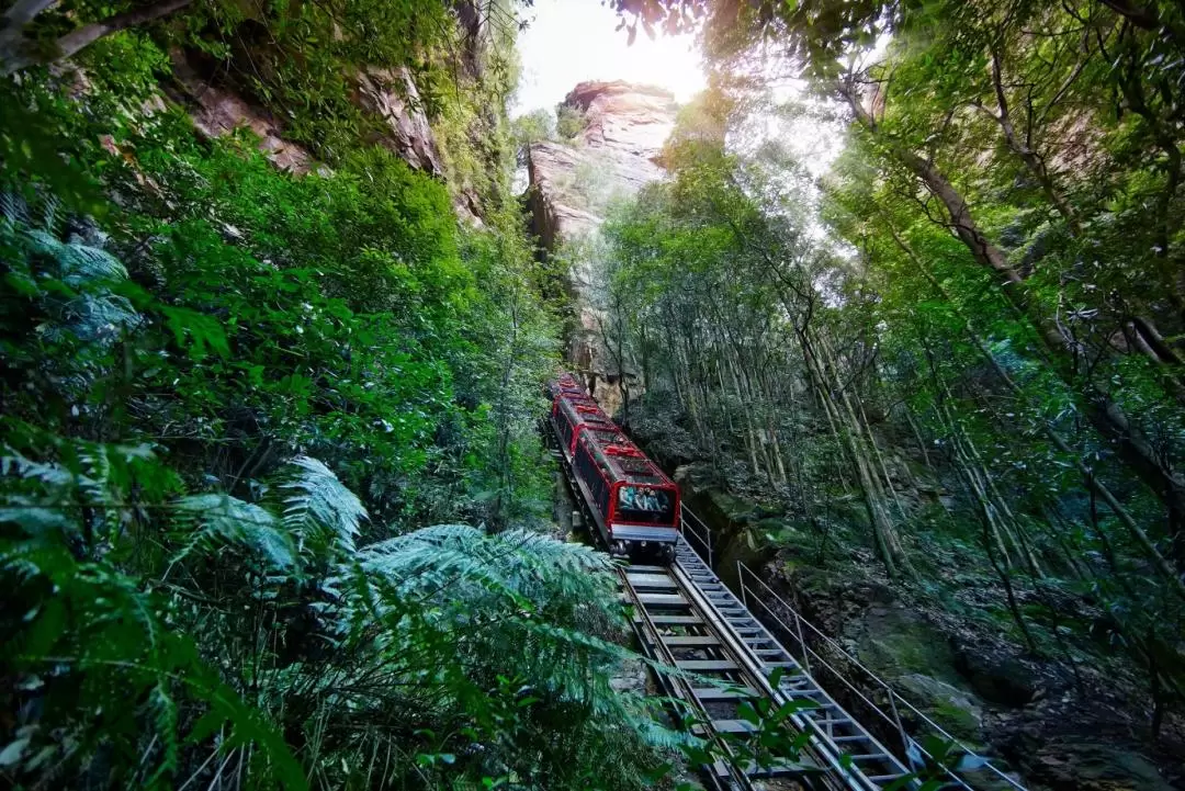 All-Inclusive Blue Mountains Small Group Tour with Lunch