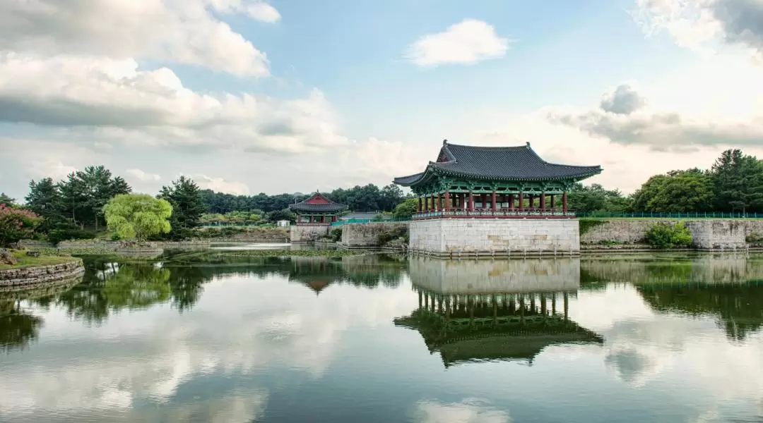 Busan and Gyeongju Private Customized Tour