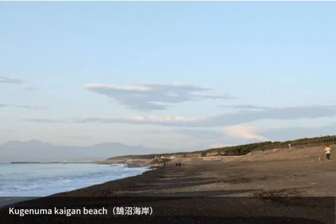 鎌倉 & 湘南真人動漫取景地半日遊（東京出發）