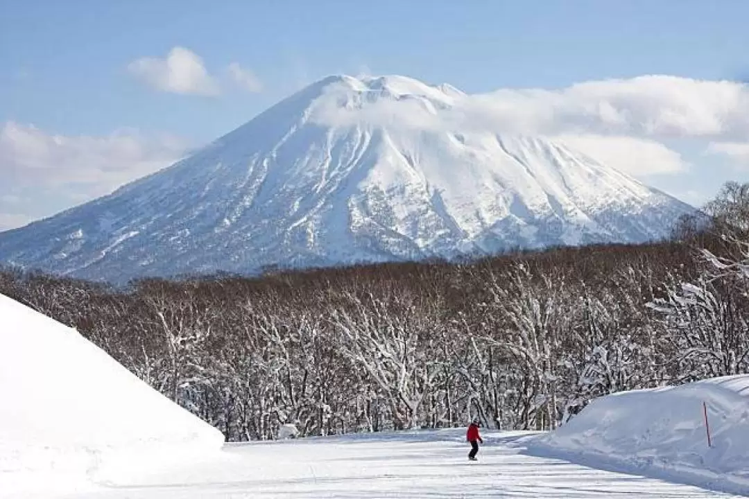 Hokkaido Optional Attractions Chartered Car Day Tour from Sapporo