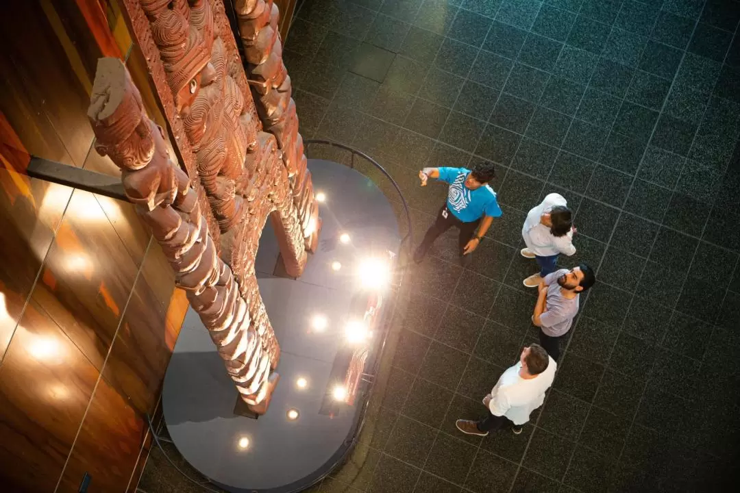 威靈頓蒂帕帕國家博物館門票