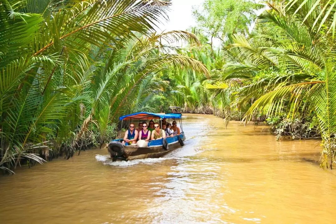 Cu Chi Tunnels and Mekong Delta VIP Tour by Limousine