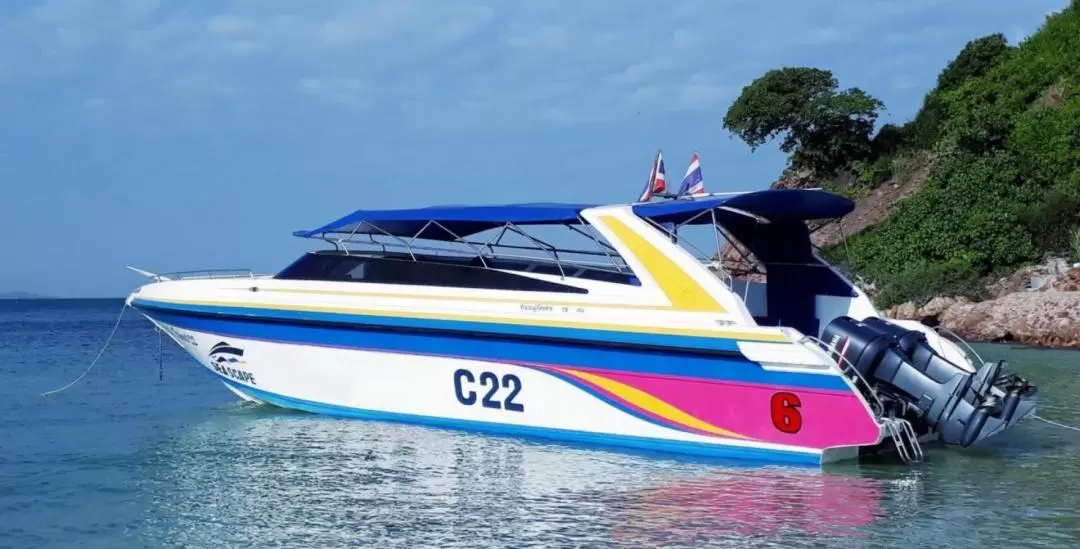 Pattaya Private Speedboat to coral island (Koh Larn)