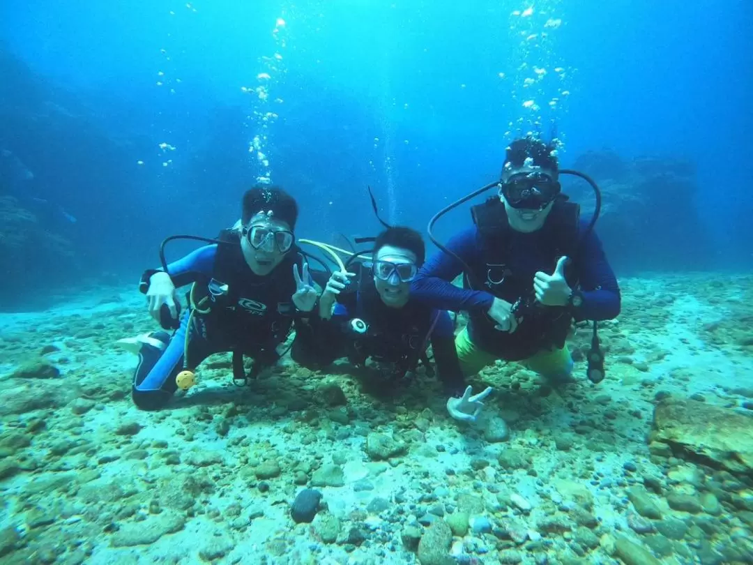 綠島: 體驗潛水 · PADI證照課程