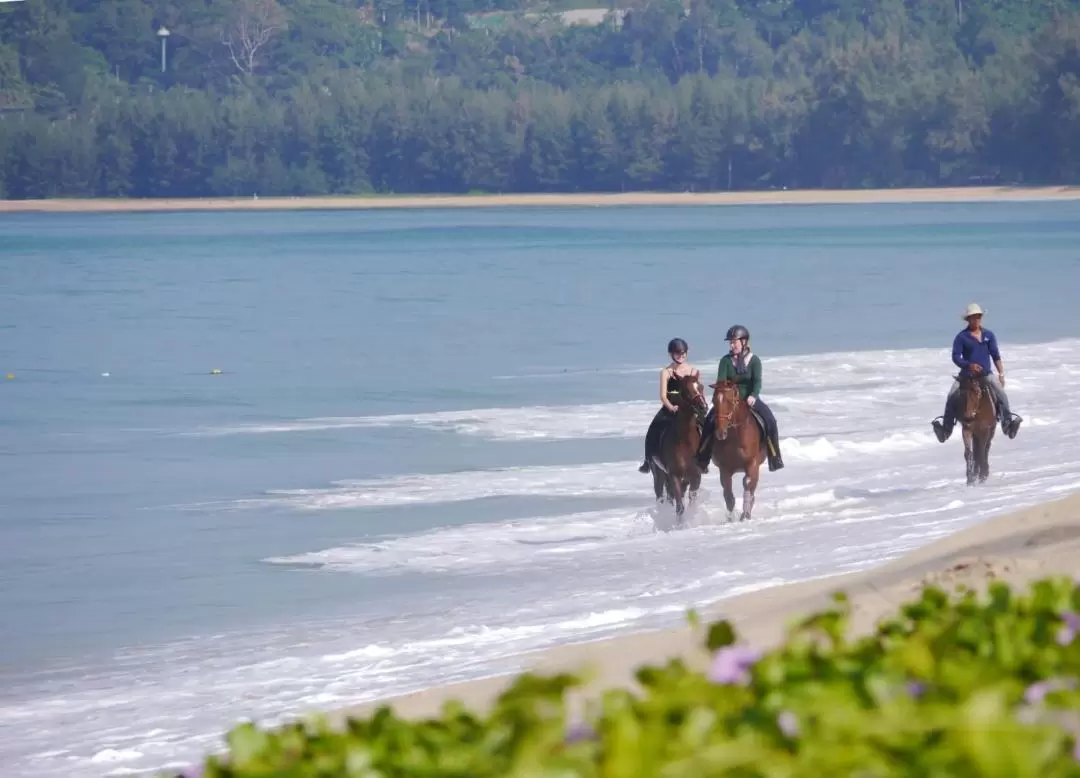 Horseback Riding Experience in Phuket