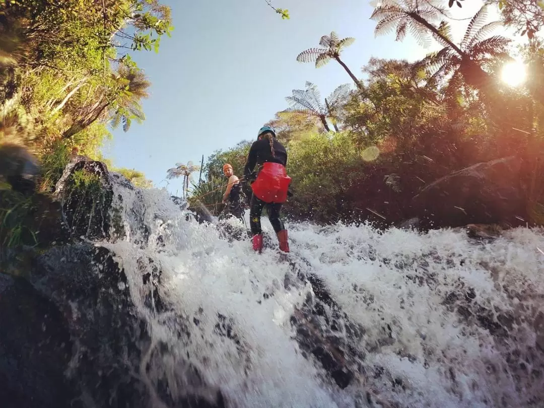 Karioi Canyoning Adventure