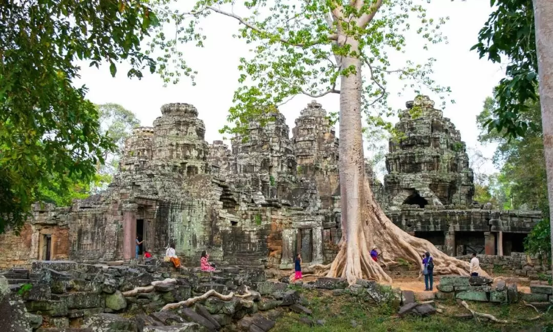 Angkor Wat Sunset Tour