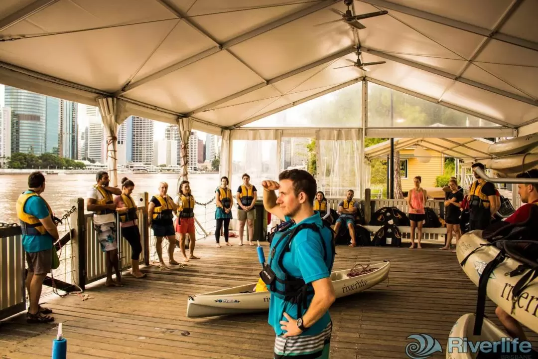 Guided Kayaking Day Tour in Brisbane