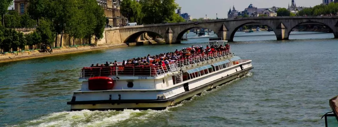 Seine River Sightseeing Cruise and Combo Experience in Paris