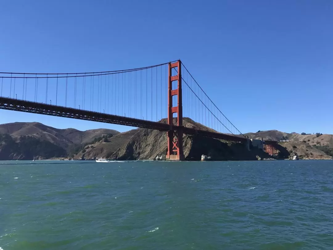 Golden Gate Bay Cruise in San Francisco