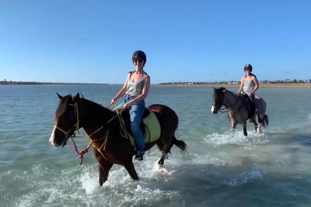 杰尔巴泻湖（Djerba Lagoon）骑马体验