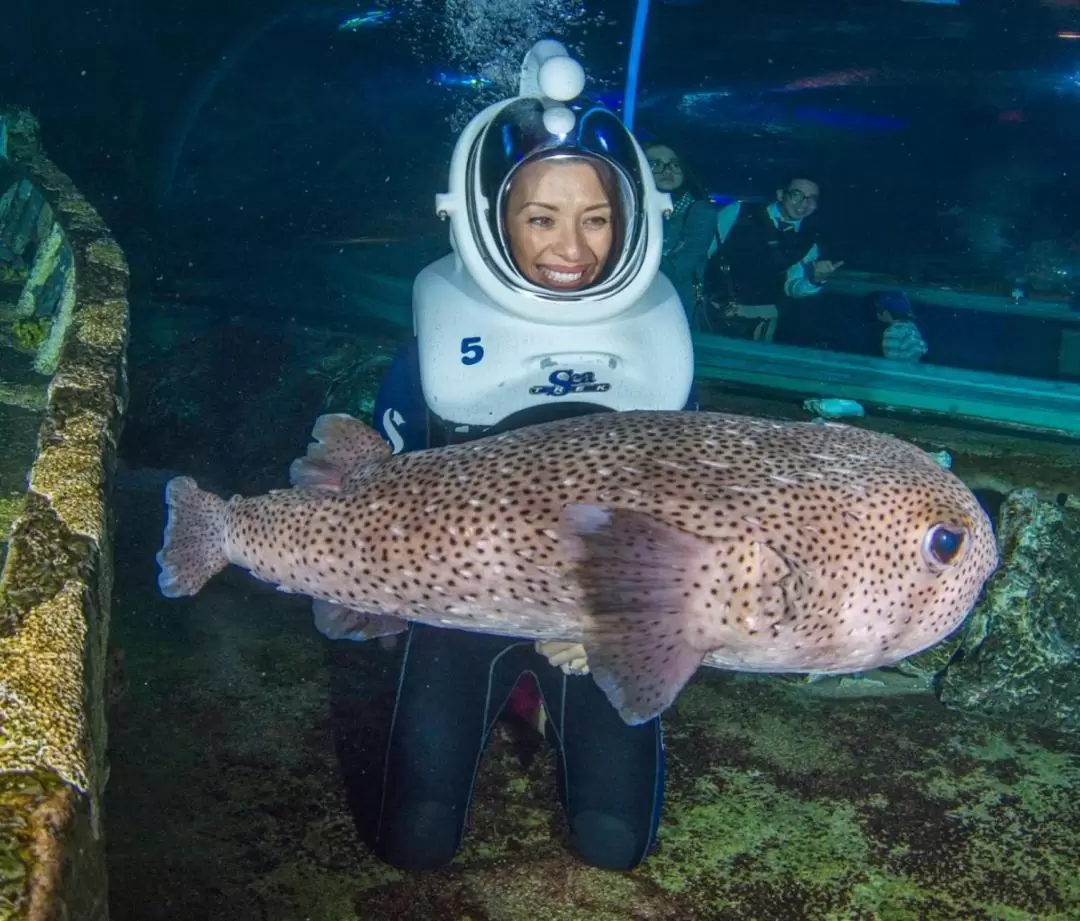 SeaTREK Experience in UnderWater World Guam