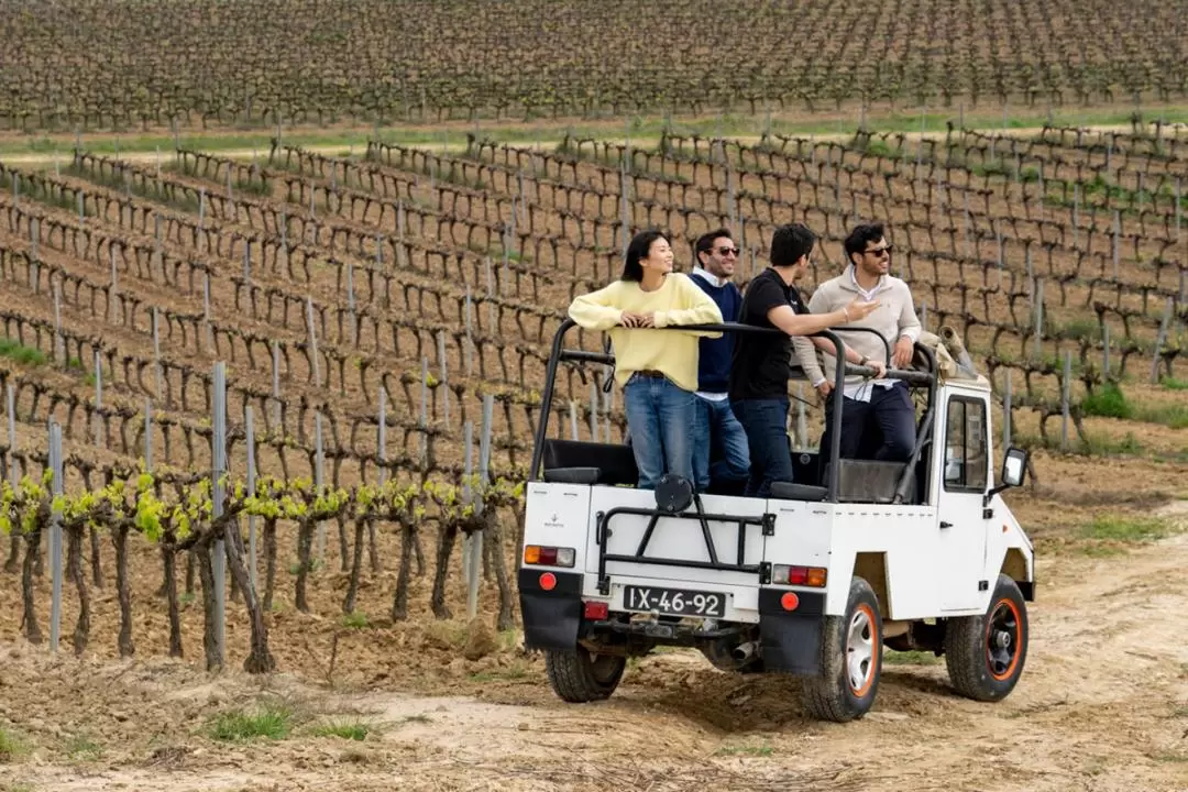 Wine Tour with 4WD Vineyards Experience in Lisbon 