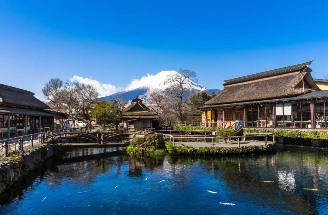 Mt.Fuji Arakurayama Sengen Park & Traditional Japanese Village tour