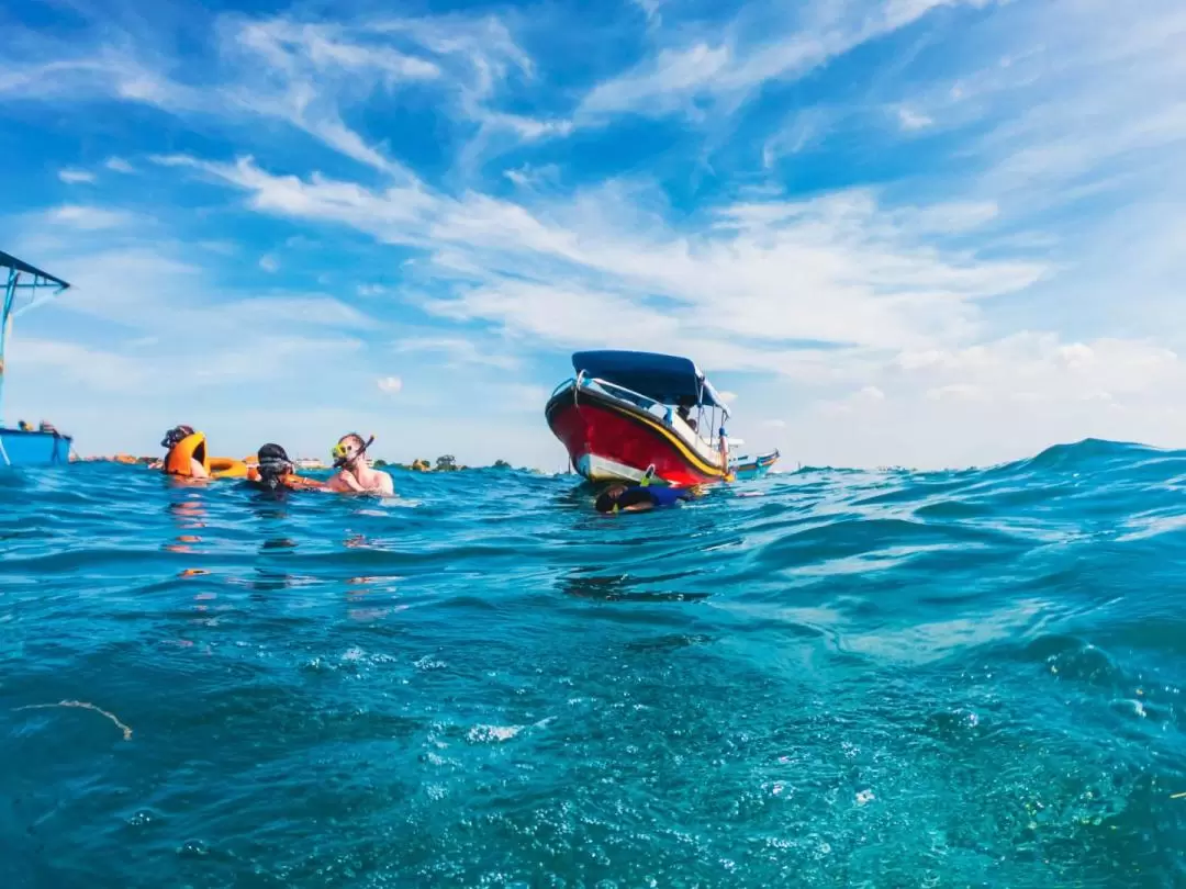 Turtle Island, Glass Bottom Boat and Mangrove Cruise by JTB Indonesia