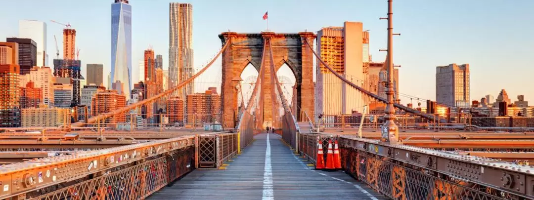 New York Boroughs: Brooklyn, the Bronx, Harlem, Coney Island & Queens Day Tour