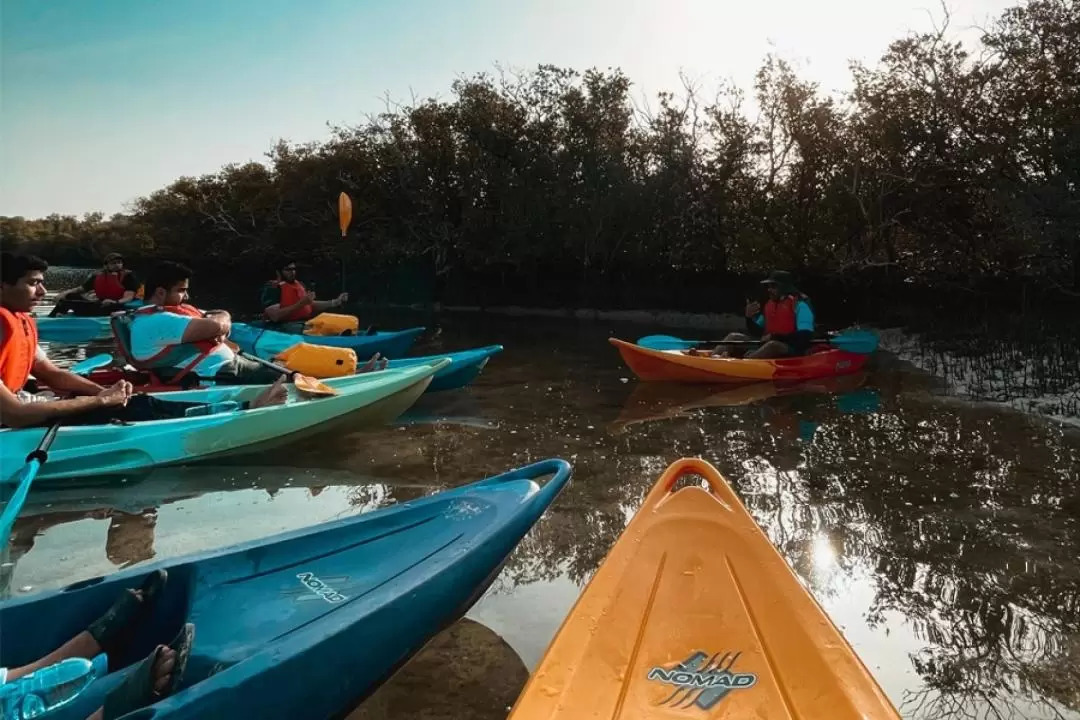 Guided Kayak Tour at Eastern Mangroves in Abu Dhabi