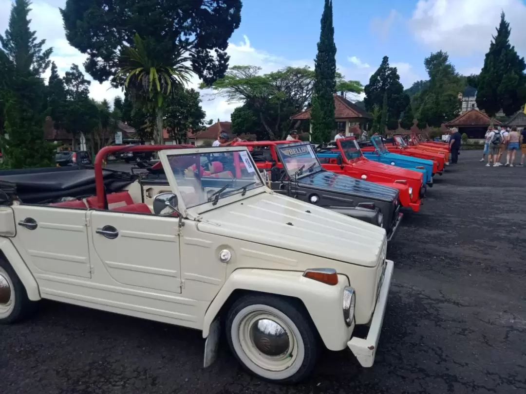 Bali Countryside VW (Volkswagen) Safari Tour