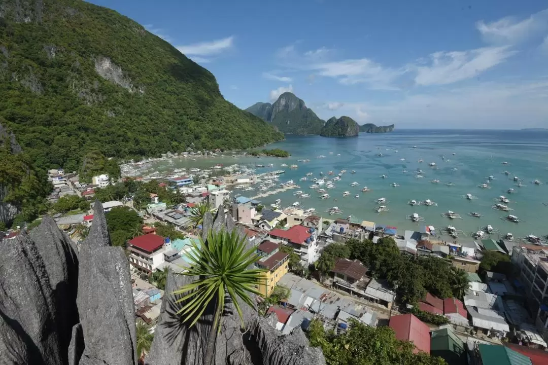 El Nido Via Ferrata Ticket (Canopy Walk Viewdeck and Dreamcatcher)