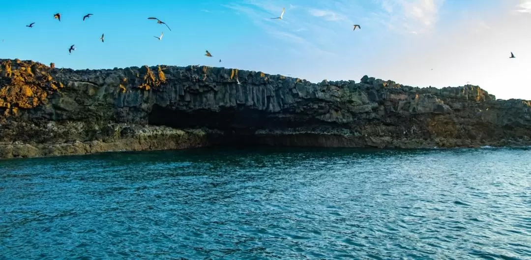 澎湖黃昏之旅 - 大倉島・鐵砧嶼 (行程當晚附贈夜釣小管或花火船體驗)