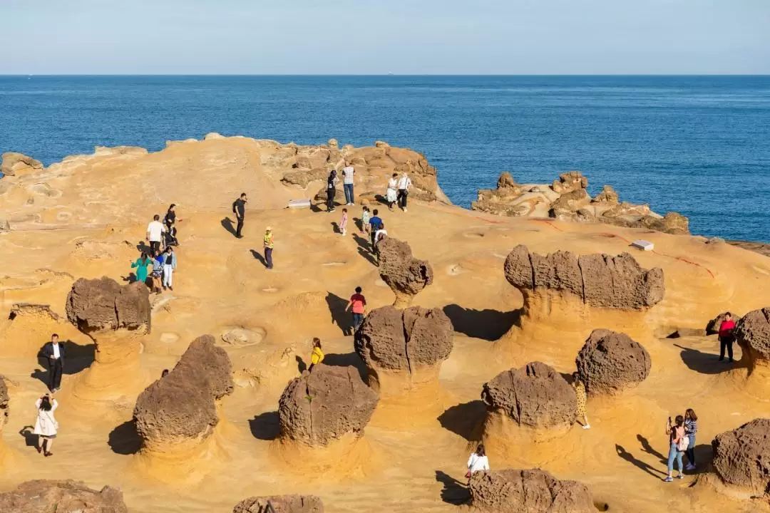 Yehliu Geopark, Jiufen, Shifen, and Golden Waterfall Day Tour 