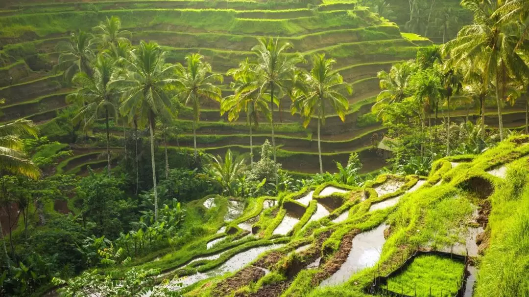 Highlights of Bali Private 2 Days Tour