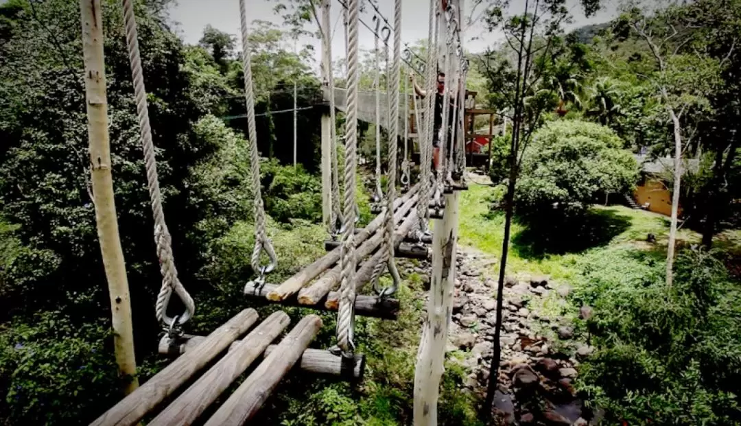 TreeTop Challenge at Mount Tamborine