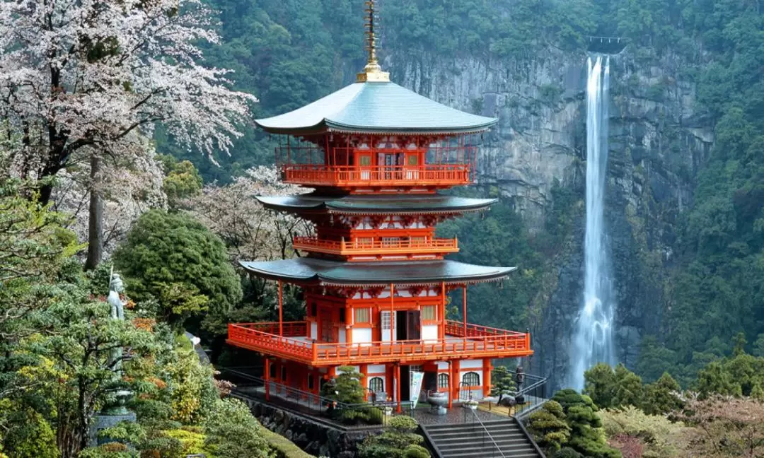 Kumano Kodo Walking Trail & Nachi Falls One Day Tour from Nagoya