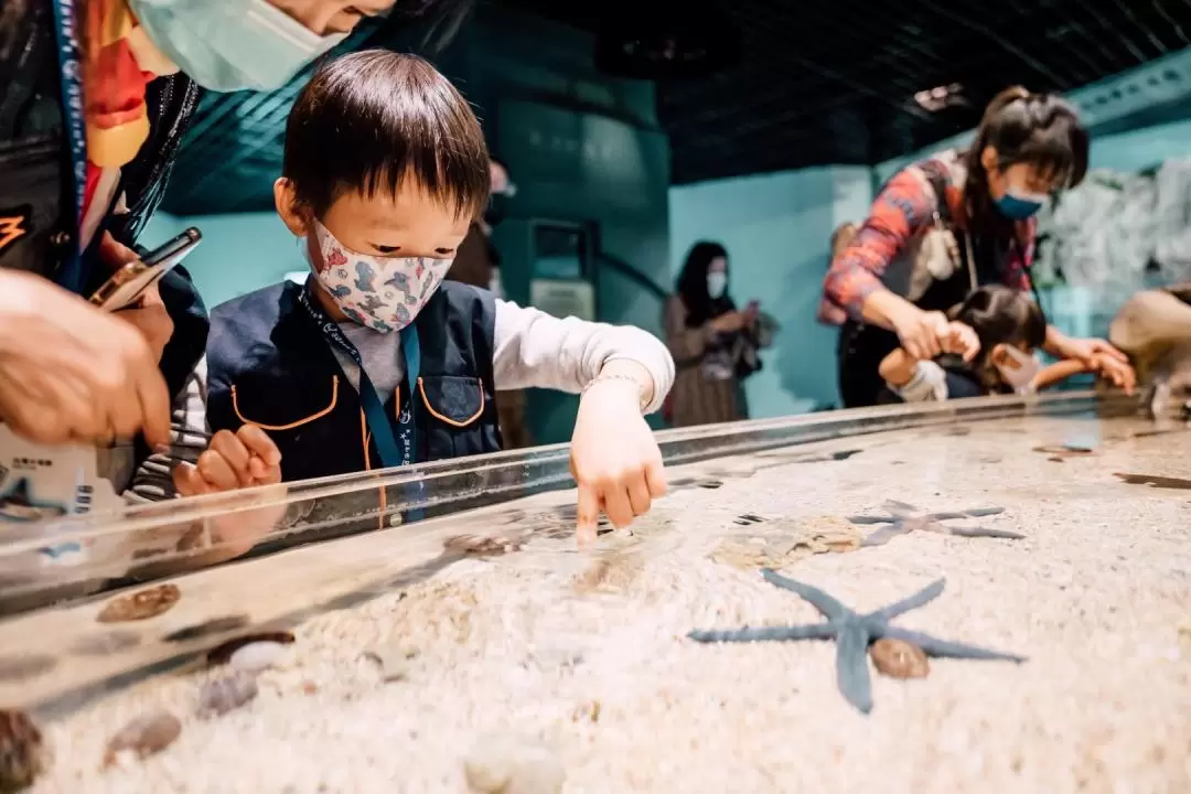 Pingtung Marine Museum｜Itinerary Experience: Mini-narrator・Fishing together with you・Night patrolling Marine Museum