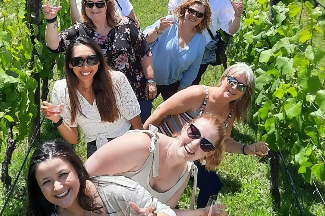 Martinborough Half Day Winery Tour