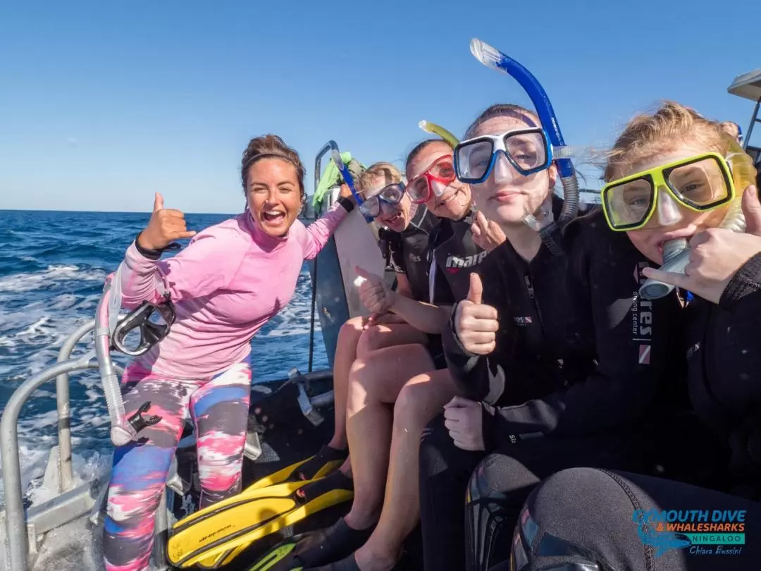 Swimming with Humpback Whales and Snorkelling in Ningaloo Reef from Exmouth