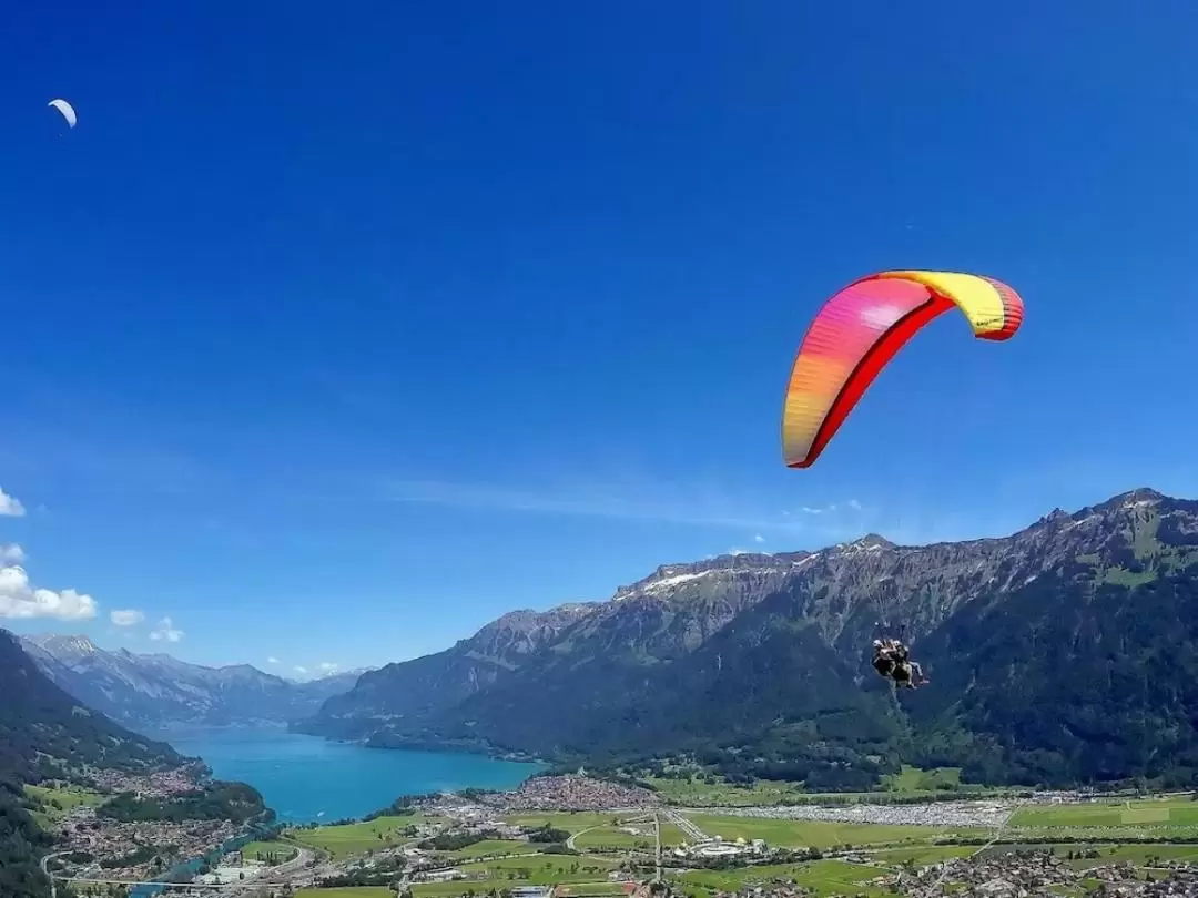 The Top Flight Tandem Paragliding Experience in Interlaken