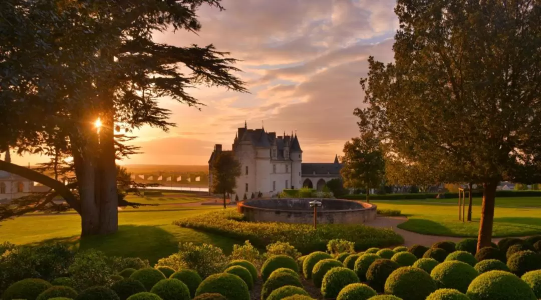 Chateau Royal Amboise Skip-the-line Ticket in Loire Valley