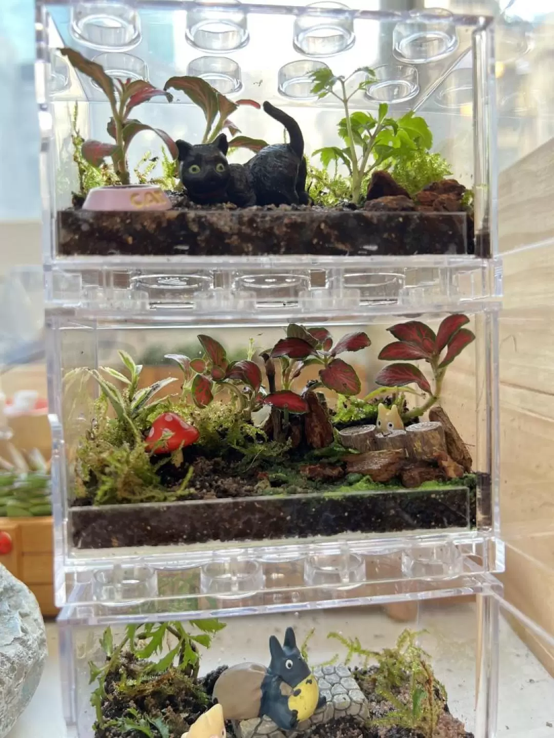 手作班房 - 微景觀植物生態工作坊 Mini Terrarium Workshop｜銅鑼灣