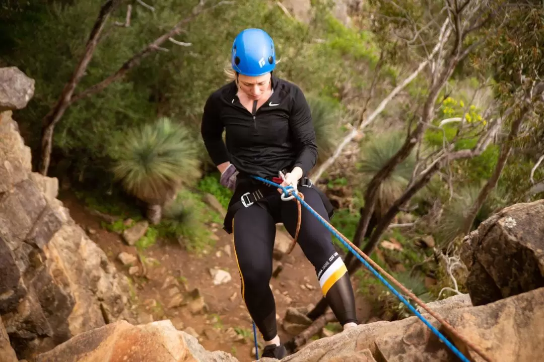  Abseiling Adventure in Adelaide	