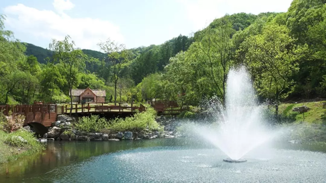 韓國小瑞士村＆ Jade Garden 樹木園私人一日遊