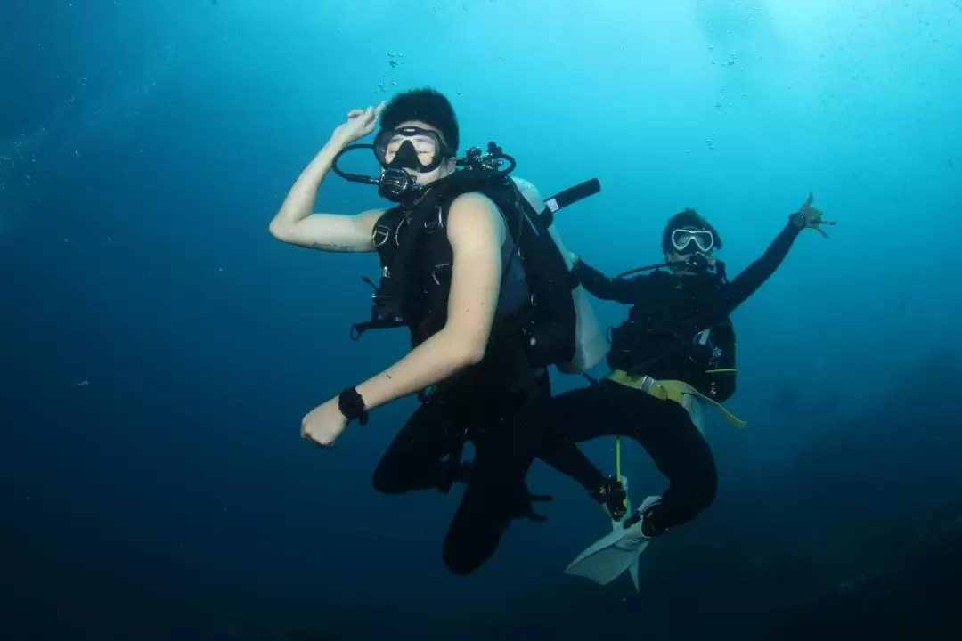 普吉島Freedive Aida潛水體驗（Fossette提供）