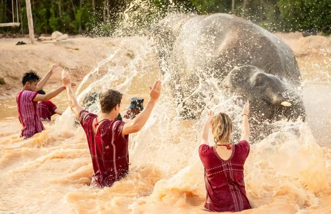 Kerchor Elephant Family Phuket Sanctuary Half Day Visit