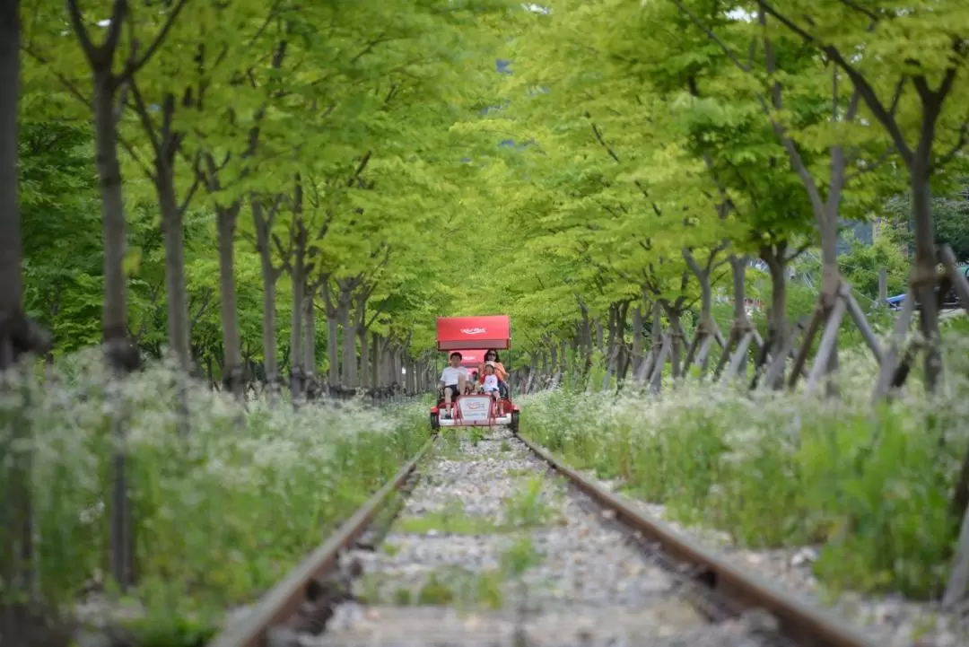 Gangchon Rail Bike Experience (Gyeonggang Station Course)