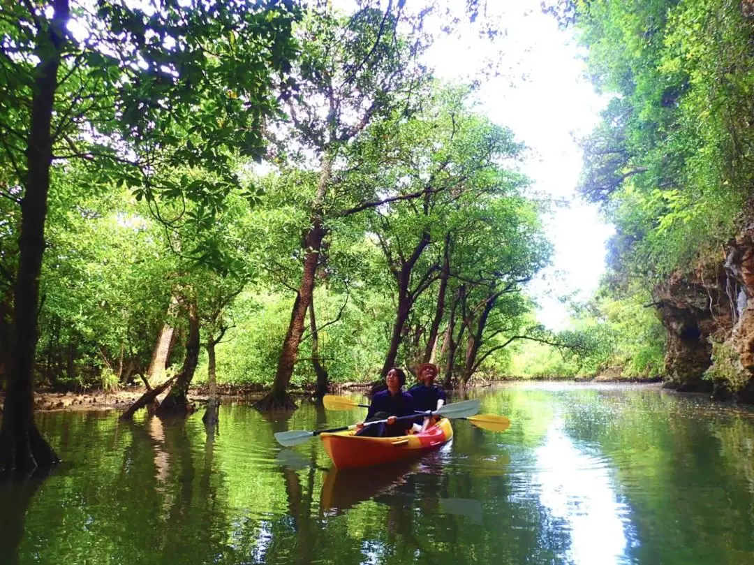  SUP/Canoe Tour at Mangrove Forest and Snorkeling Tour at Fantom Island