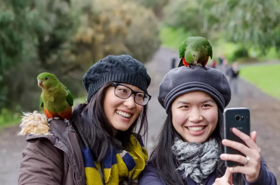 Great Ocean Road All Inclusive Day Tour with Lunch