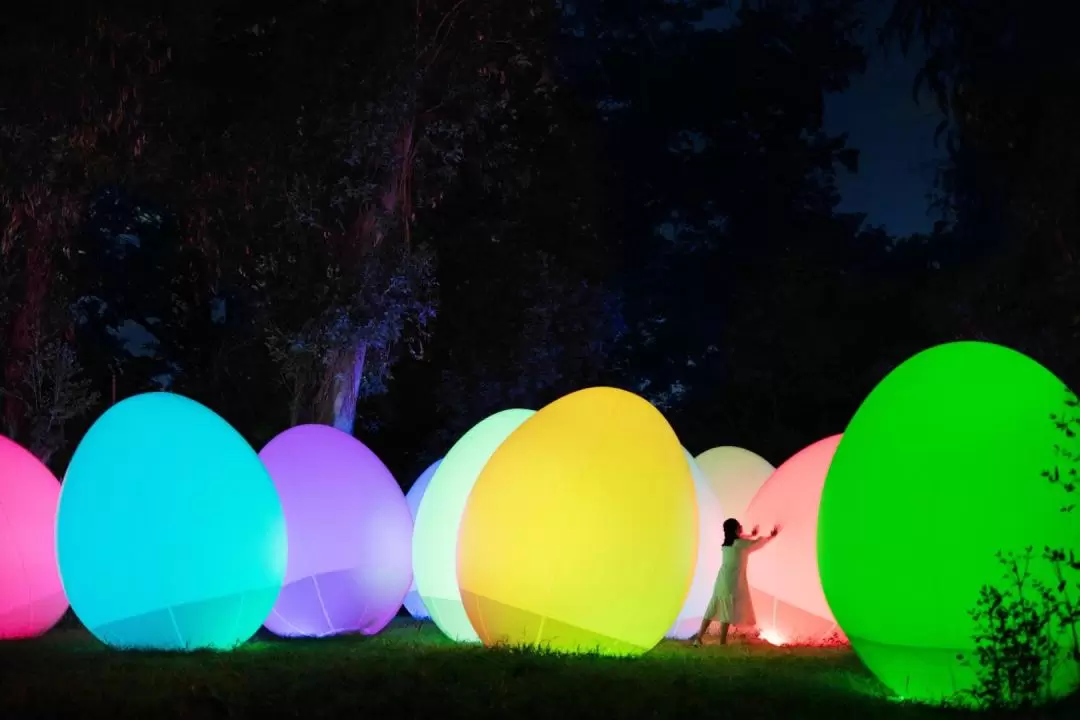 大阪長居植物園 teamLab Botanical Garden Osaka 門票