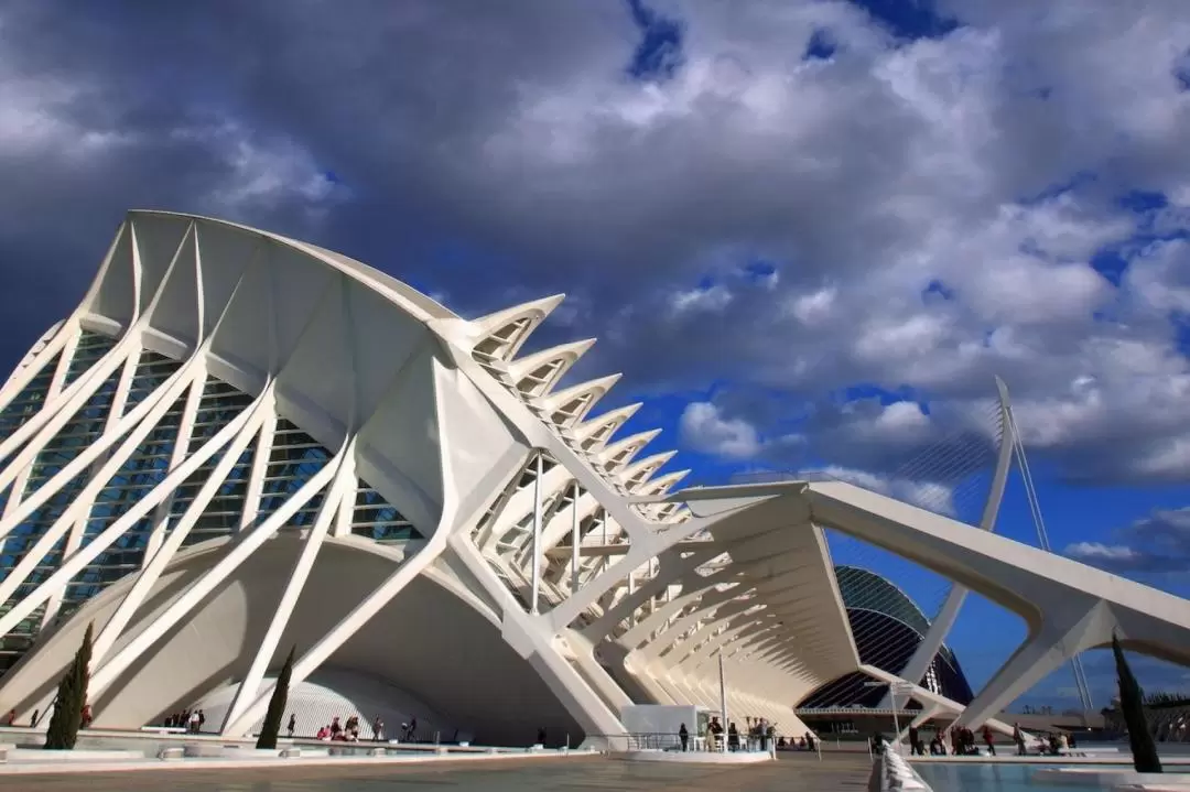 Science Museum Admission in Valencia