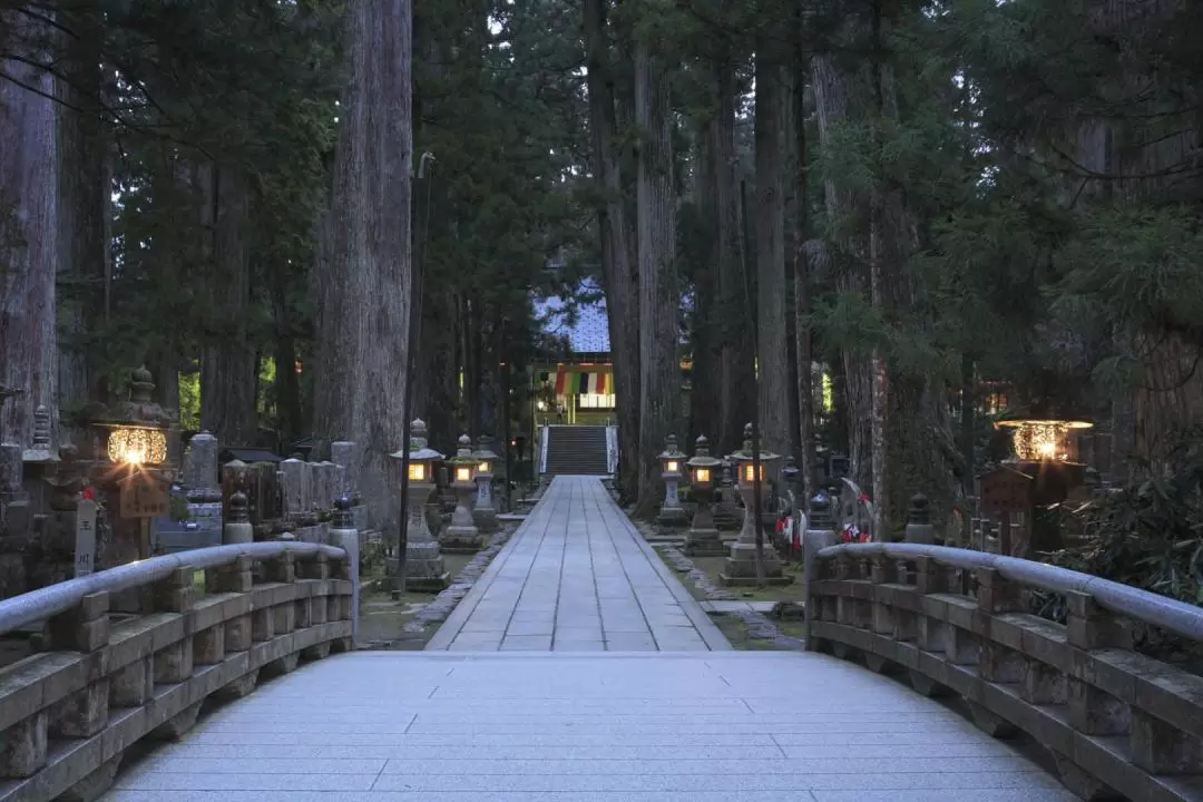 高野山徒步之旅（大阪出發）