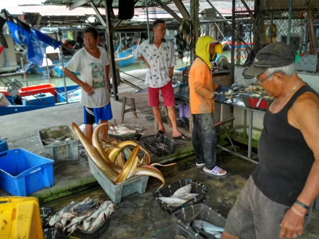 Penang Balik Pulau Countryside Cycling Tour