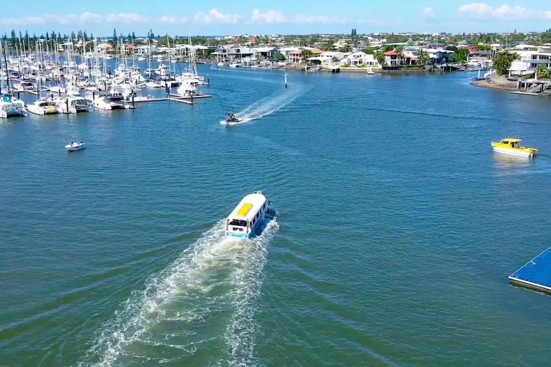 Sunshine Coast Land and Sea Aquaduck Tour from Queensland