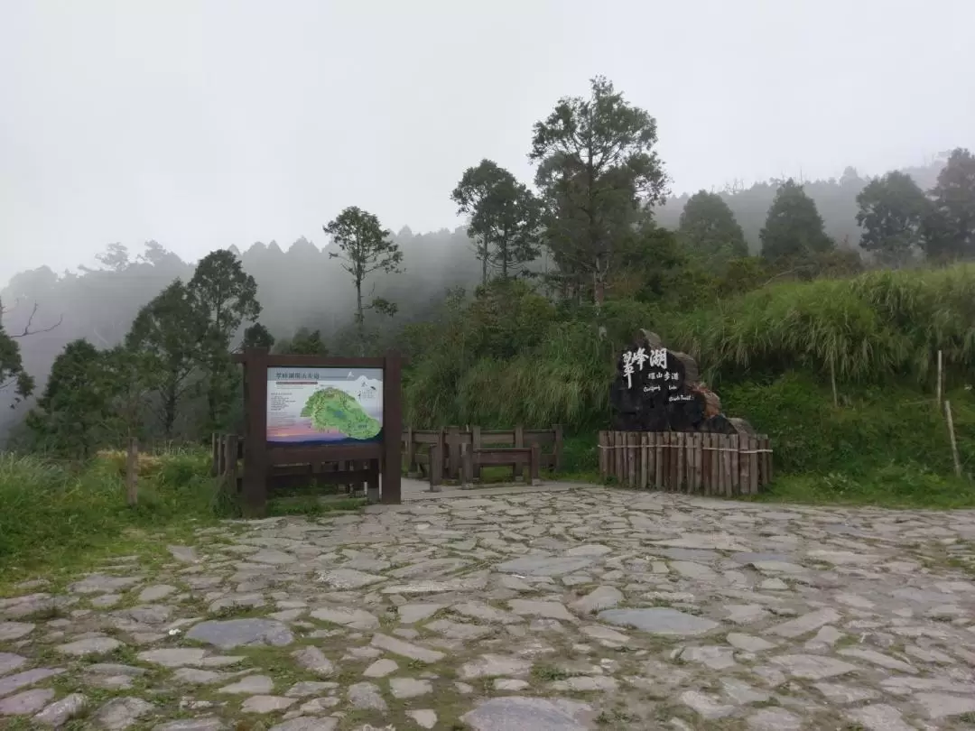 Taipingshan National Forest Recreation Area Day Tour in Yilan