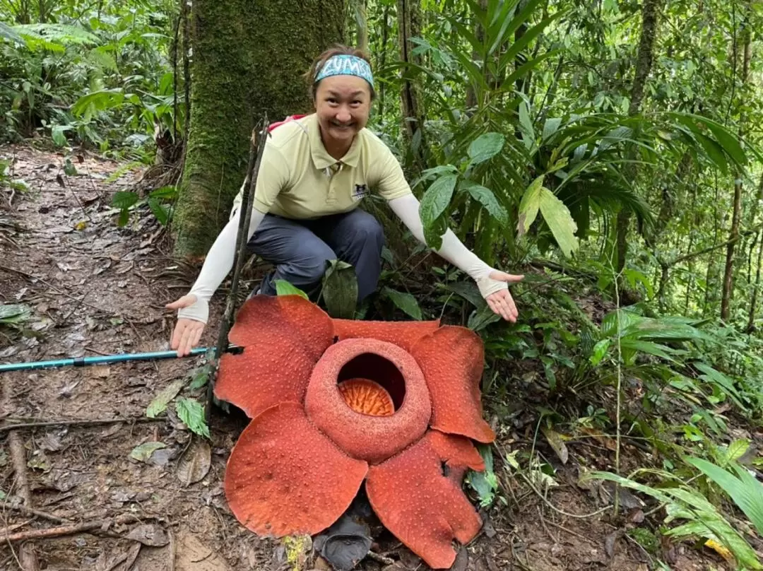 Rafflesia Half Day Trekking Trip with Optional Stay in Cameron Highlands 